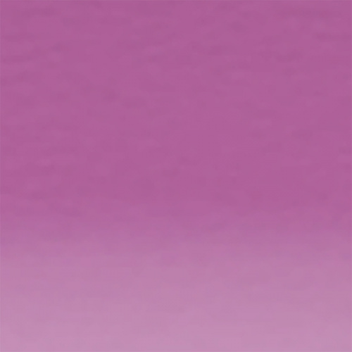 lavender-p250